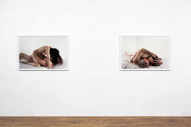 love in the ruins; sex over 50 (installation view)